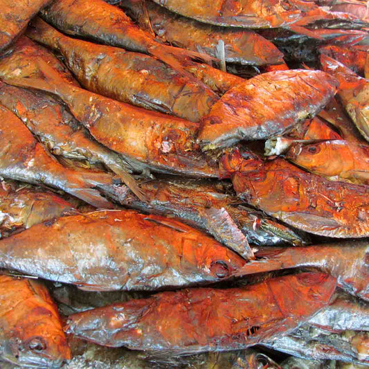 Poisson magne sec tas