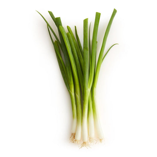 Oignon Vert Botte
