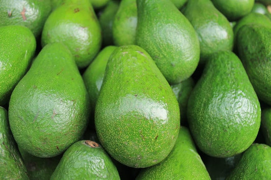 Avocat /  pièces